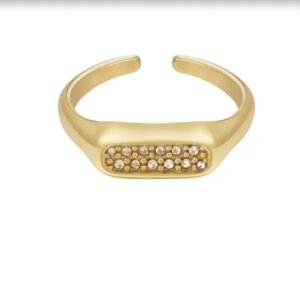 Langwerpige RVS ring met steentjes