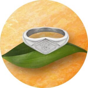 Ring RVS Universe, met maan en sterren